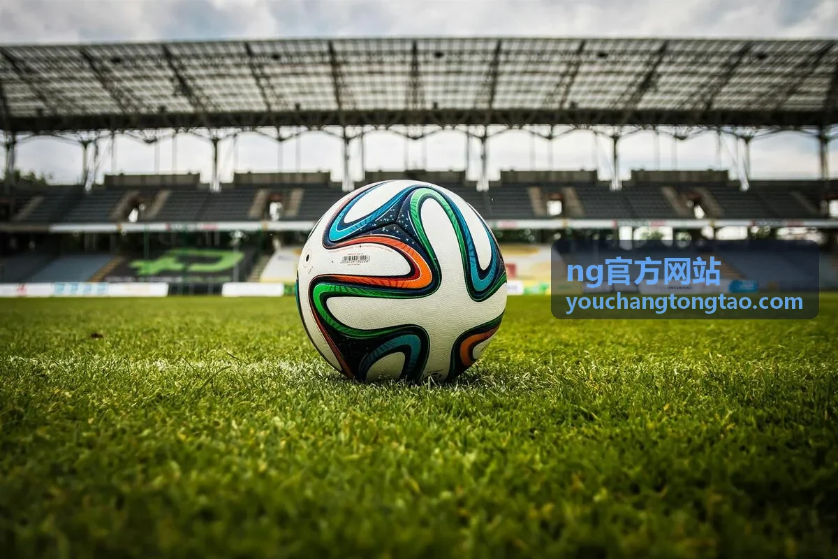 ng官方网站 采购与批量合作 规格与技术附件确认