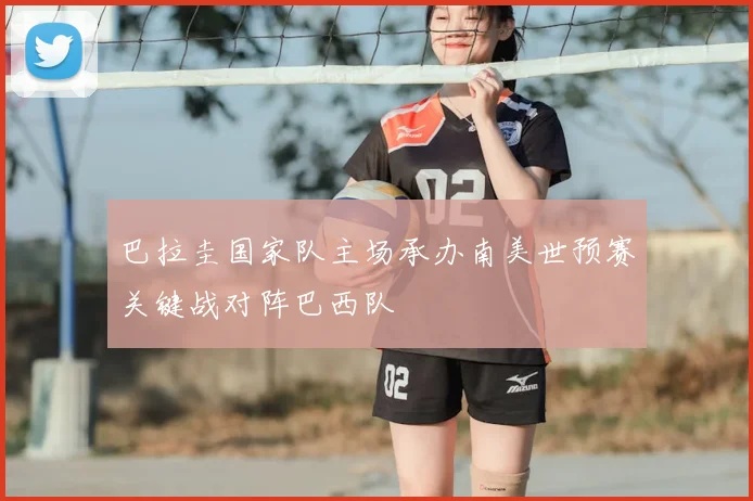 巴拉圭国家队主场承办南美世预赛关键战对阵巴西队