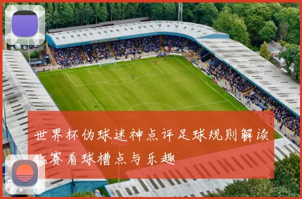 世界杯伪球迷神点评足球规则解读比赛看球槽点与乐趣