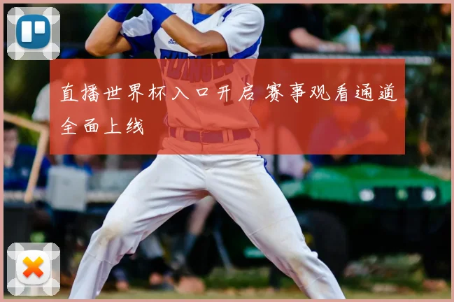 直播世界杯入口开启 赛事观看通道全面上线