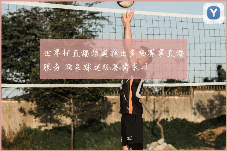 世界杯直播频道推出多场赛事直播服务 满足球迷观赛需求_1