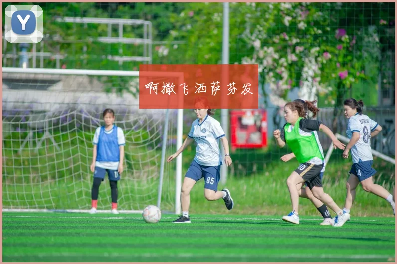 世界杯足球比赛A组赛程与分组形势解析